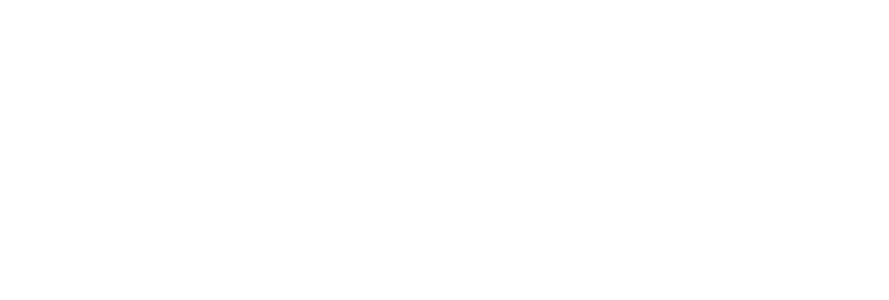 Precision Micro