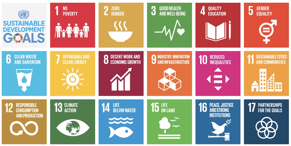 Sustainability goals icons